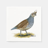 Scaled Quail Servet (Voorkant)