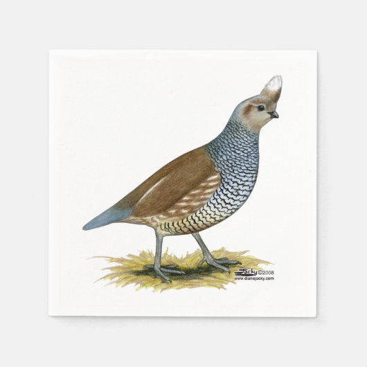 Scaled Quail Servet (Voorkant)