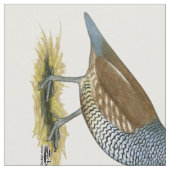 Scaled Quail Stof (Close Up)