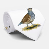 Scaled Quail Stropdas (Opgerold)