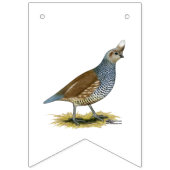 Scaled Quail Vlaggetjes (Tweede vlag)