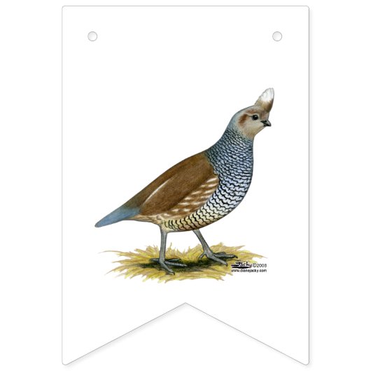 Scaled Quail Vlaggetjes (Tweede vlag)