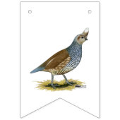 Scaled Quail Vlaggetjes (Derde vlag)