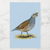 Scaled Quail Voedselcontainer Etiket (Enkel label)
