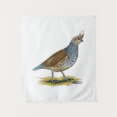 Scaled Quail Wandkleed (Voorkant)