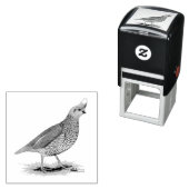 Scaled Quail Zelfinktende Stempel (In situ)