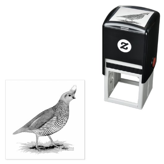 Scaled Quail Zelfinktende Stempel (In situ)