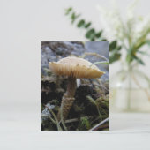 Scaley Mushroom op Unalaska Island Briefkaart (Staand voorkant)