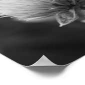 Scalleeuwen, Floral Black White Print (Hoek)