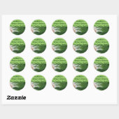 Scallions/groene uien stickers (Vel)