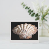Scallop 3236 briefkaart (Staand voorkant)