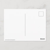 Scallop 3236 briefkaart (Achterkant)