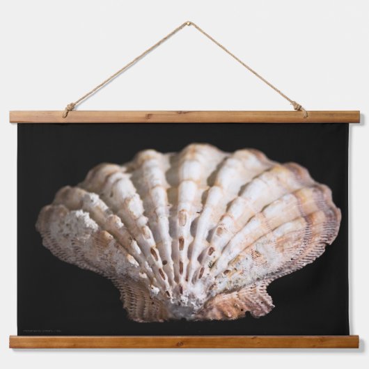 Scallop 3236 hangend wandkleed (Voorkant)