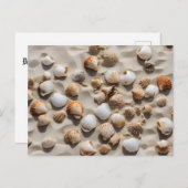 Scallop schelpen op zand briefkaart (Voorkant / Achterkant)