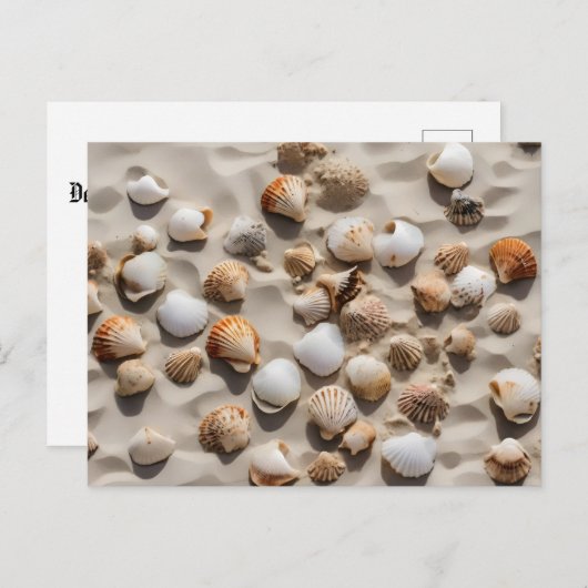 Scallop schelpen op zand briefkaart (Voorkant / Achterkant)