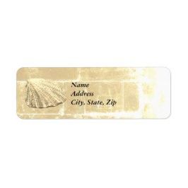 Scallop Seashell op zand Etiket