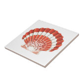 "SCALLOP SEASHELL"-ZEELKERAMISCHE TEGEL TEGELTJE (Zijkant)