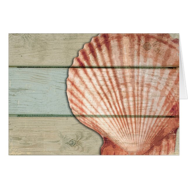 Scallop Shell (Voorkant Horizontaal)