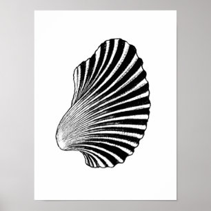 Scallop Shell Block Print, Black and White Poster