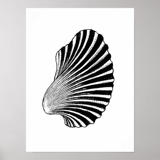 Scallop Shell Block Print, Black and White Poster (Voorkant)