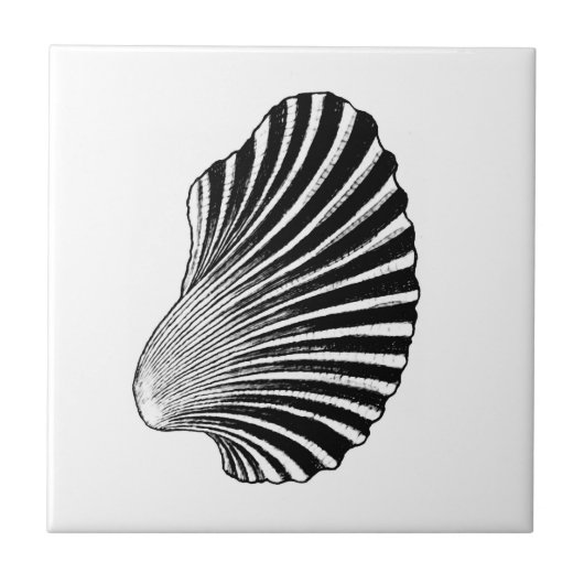 Scallop Shell Block Print, Black and White Tegeltje (Voorkant)
