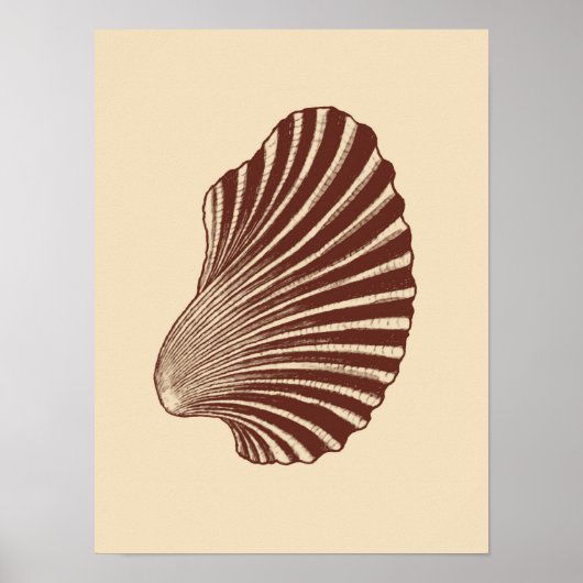 Scallop Shell Block Print, Brown and Beige Poster (Voorkant)