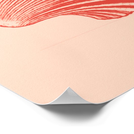 Scallop Shell Block Print, Light Coral Oranje Poster (Hoek)
