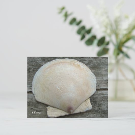 Scallop Shell Briefkaart (Staand voorkant)