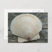 Scallop Shell Briefkaart (Voorkant / Achterkant)