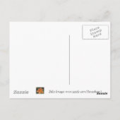 Scallop Shell - briefkaart (Achterkant)