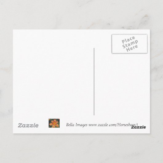 Scallop Shell - briefkaart (Achterkant)