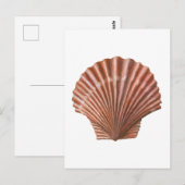 Scallop Shell Briefkaart (Voorkant / Achterkant)