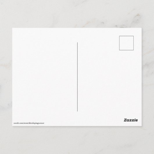 Scallop Shell-Briefkaart Briefkaart (Achterkant)