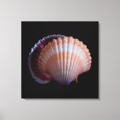 Scallop Shell Canvas Afdruk (Voorkant)
