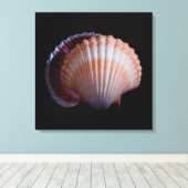 Scallop Shell Canvas Afdruk (Insitu (Houten vloer))
