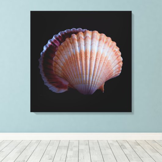 Scallop Shell Canvas Afdruk (Insitu (Houten vloer))
