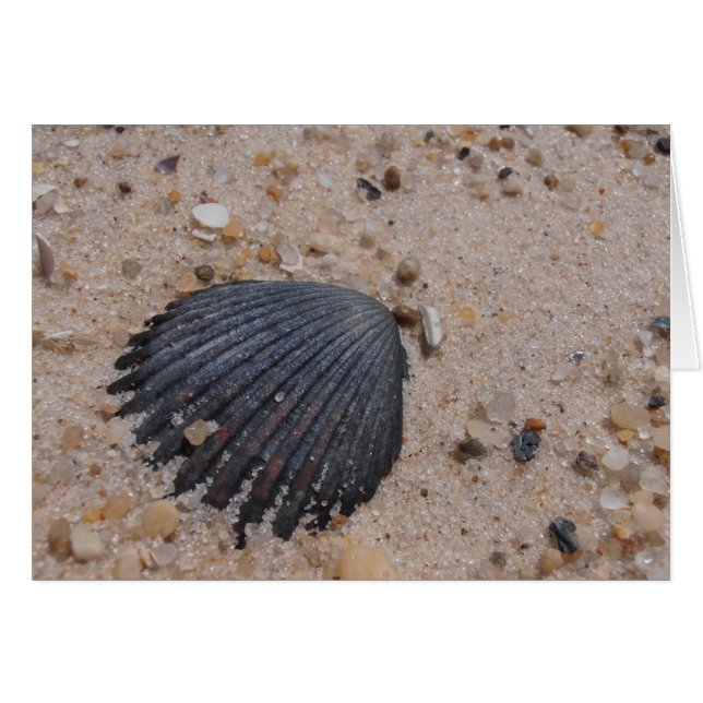 Scallop Shell Card (Voorkant Horizontaal)