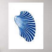 Scallop Shell, Indigo Blue en White Poster (Voorkant)