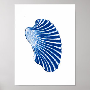 Scallop Shell, Indigo Blue en White Poster