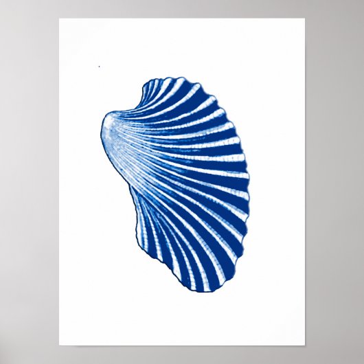Scallop Shell, Indigo Blue en White Poster (Voorkant)