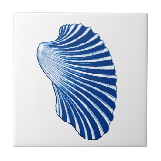 Scallop Shell, Indigo Blue en White Tegeltje (Voorkant)
