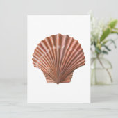 Scallop Shell Kaart (Staand voorkant)