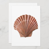 Scallop Shell Kaart (Voorkant / Achterkant)