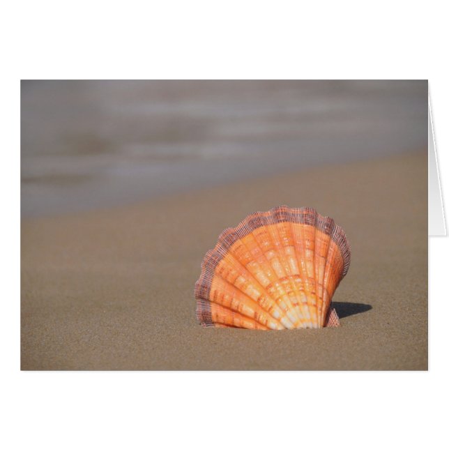 Scallop Shell| Kreta, Griekenland (Voorkant Horizontaal)