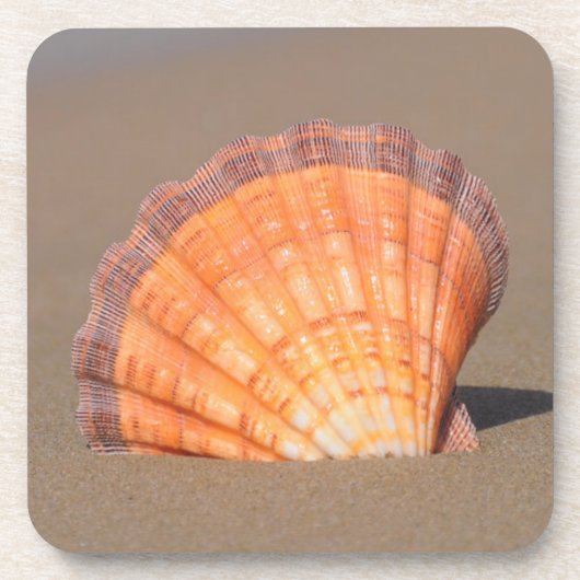 Scallop Shell| Kreta, Griekenland Bier Onderzetter (Voorkant)