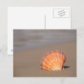 Scallop Shell| Kreta, Griekenland Briefkaart (Voorkant / Achterkant)