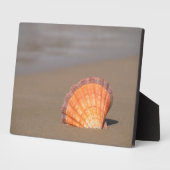 Scallop Shell| Kreta, Griekenland Fotoplaat (Zijkant)