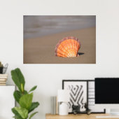 Scallop Shell| Kreta, Griekenland Poster (Thuiskantoor)