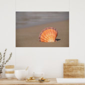 Scallop Shell| Kreta, Griekenland Poster (Keuken)