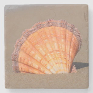 Scallop Shell  Kreta, Griekenland Stenen Onderzetter